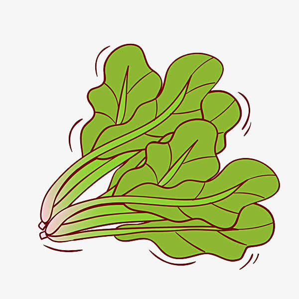 菠菜插画