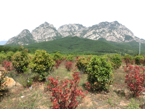 嵩山绝美风光，高清PNG透明背景摄影素材，免费下载设计元素