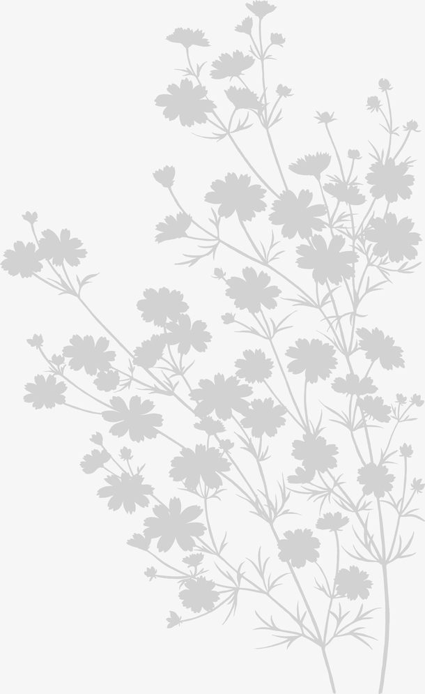 矢量线描花卉植物剪影图案