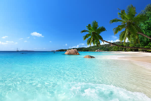 美丽沙滩椰树风景图片