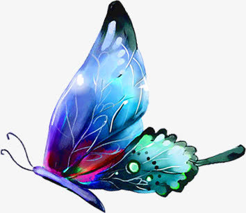 美丽翅膀的蝴蝶