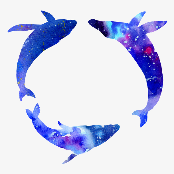 三头鲸鱼戏水水彩风  蓝色