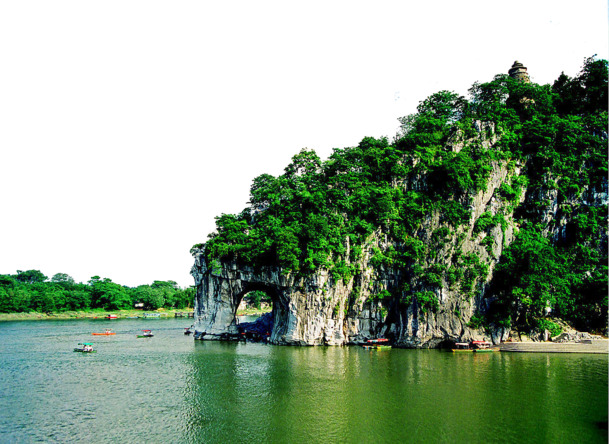 绿色树木PNG透明背景，高清摄影素材，风景设计元素免费下载