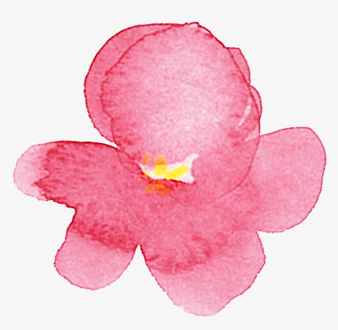 水印粉色樱花插画