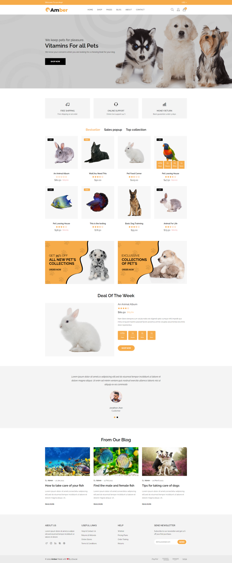 宠物网站页面设计代码，宠物服务网页设计模板