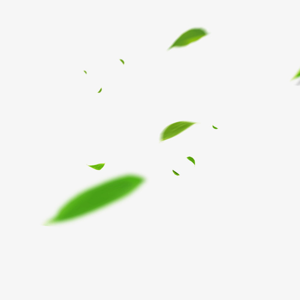 漂浮的绿色模糊叶子
