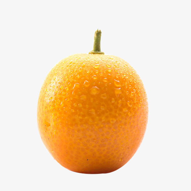 漂亮的小金橘设计
