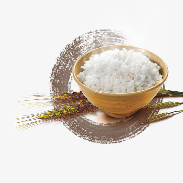 水稻一碗米饭拒绝浪费