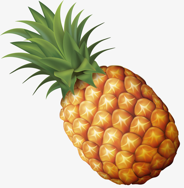 菠萝 手绘 卡通 水果