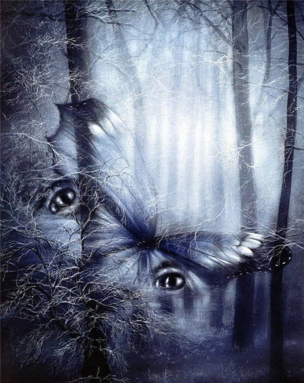 雪夜树林眼纹蝴蝶海报背景