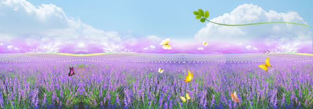 紫色梦幻花园淘宝海报背景