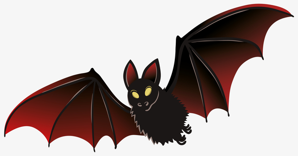 吸血蝙蝠 蜜符 哺乳动物