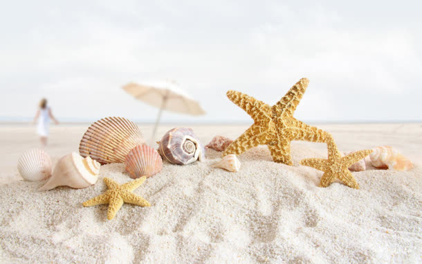 沙滩海星贝壳人物景深效果背景素材