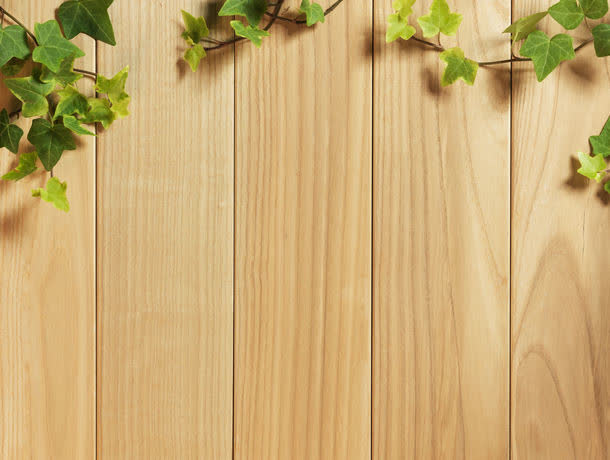木板背景与藤蔓背景