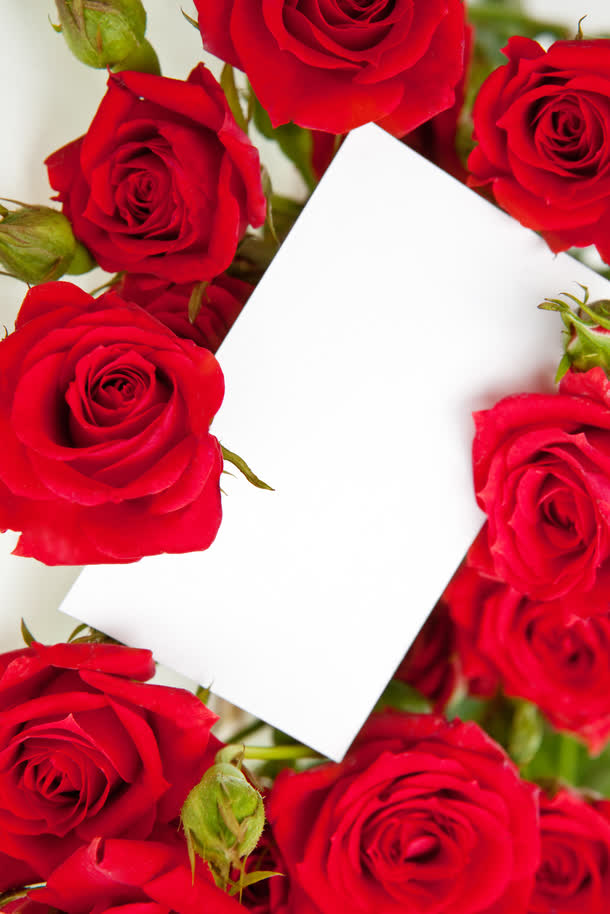 鲜艳红色玫瑰花信封