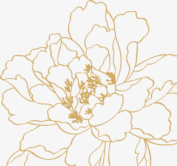 手绘描边花朵效果