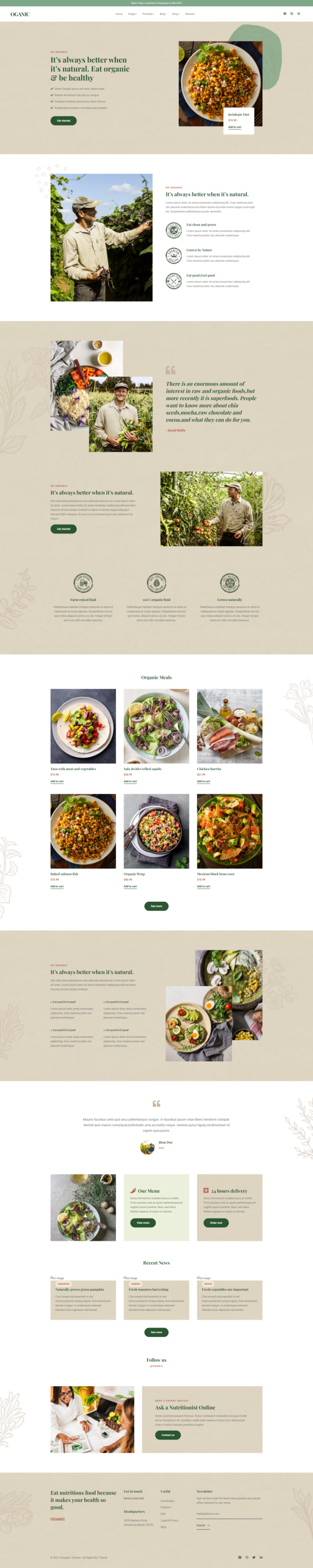 美食网页设计模板，有机食物商城网站下载