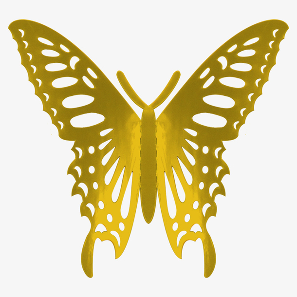 金色蝴蝶，纸制品