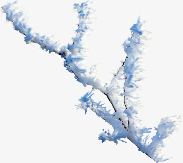 冰霜树枝