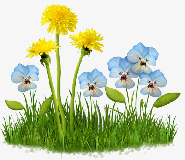 蓝色花朵草坪草地花丛