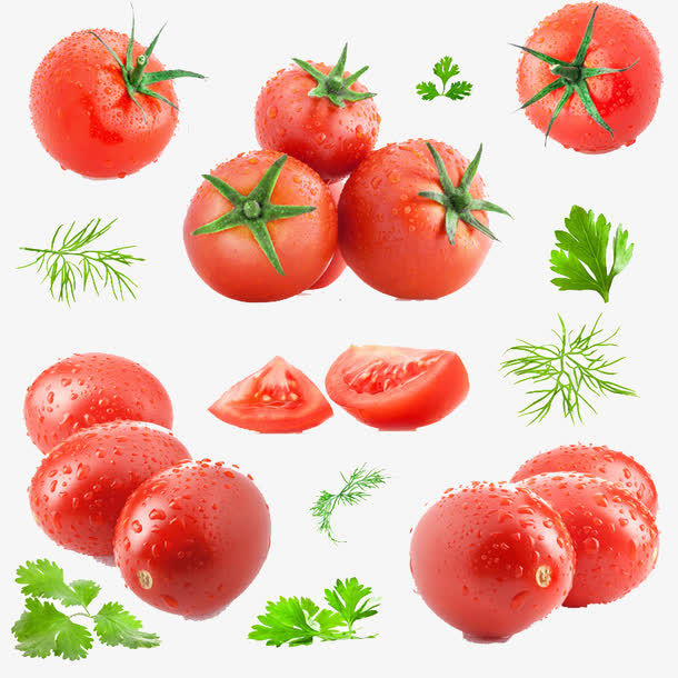 西红柿和茴香叶