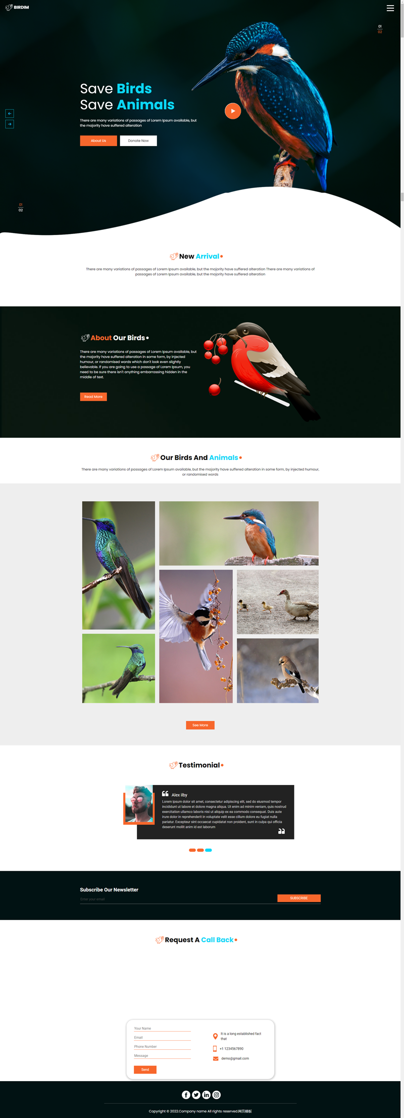 动物保护网站设计，鸟类保护公益网站网站下载