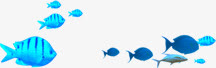 海底蓝色热带鱼群