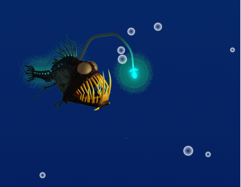 3d动物海洋版，唯美的海底动画素材