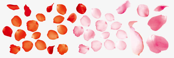 粉红色花瓣合集装饰