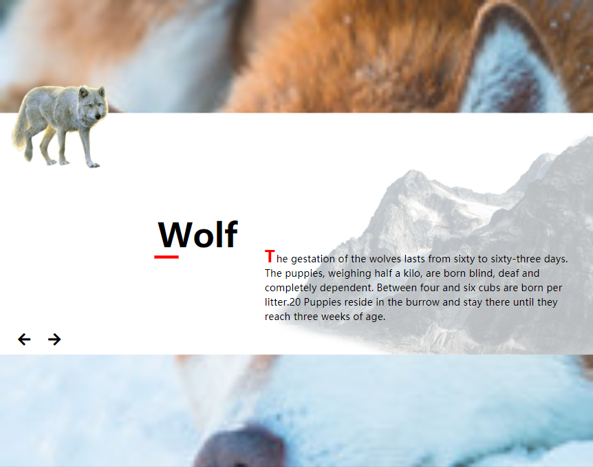 html滑块代码，动物介绍页面模板