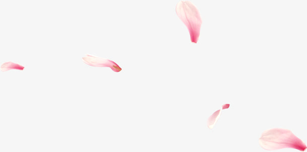 粉白色花瓣教师节