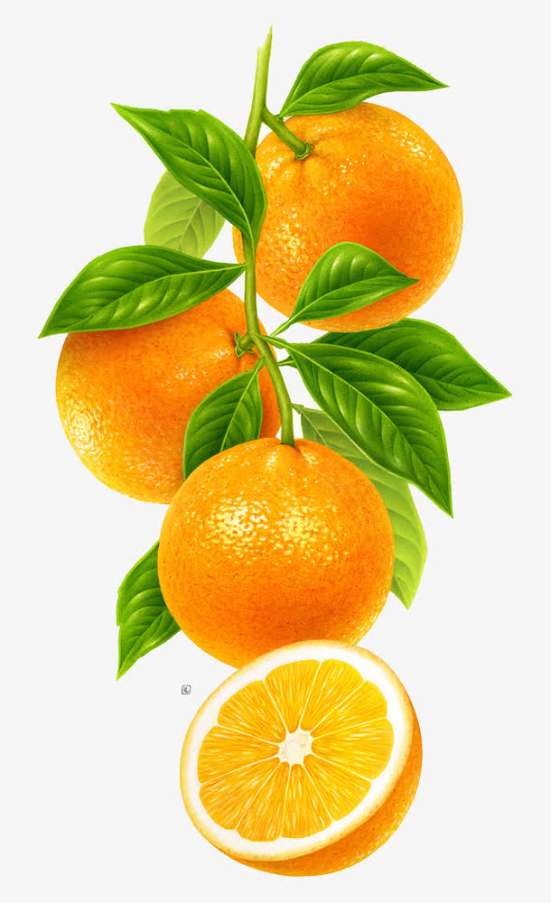 一串橙子