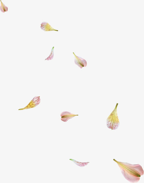 高清PNG透明粉红花瓣漂浮图片素材，优雅设计元素，一键下载