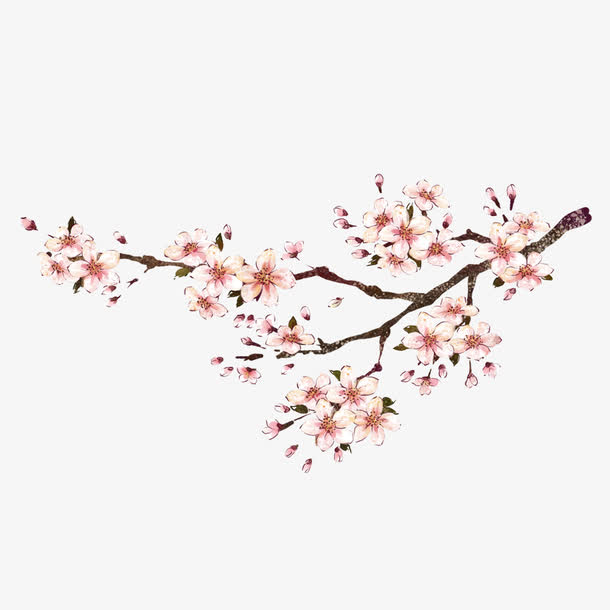 现代简约粉色树枝PNG透明素材，高清漂浮花瓣设计元素，免费下载