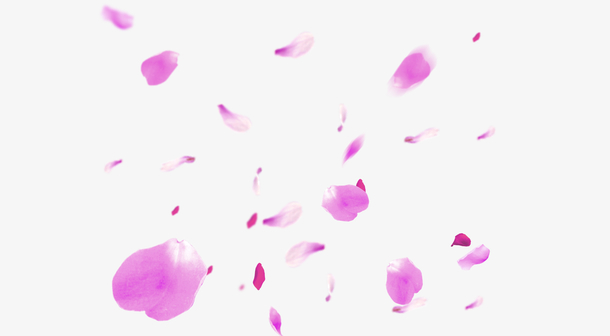 梦幻紫红色的花瓣免抠素材