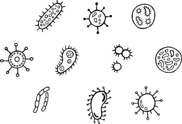 单细胞菌群手绘卡通PNG透明图，高清下载，创意素材精选