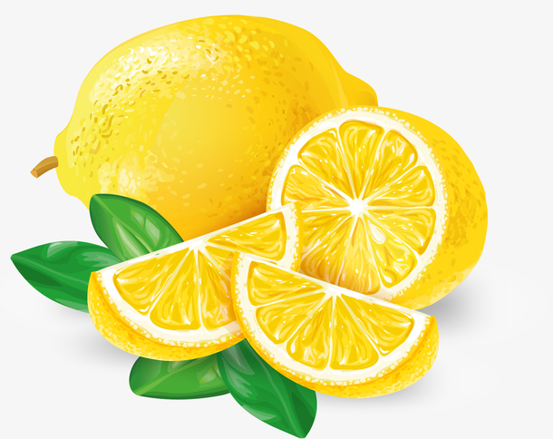 矢量手绘柠檬