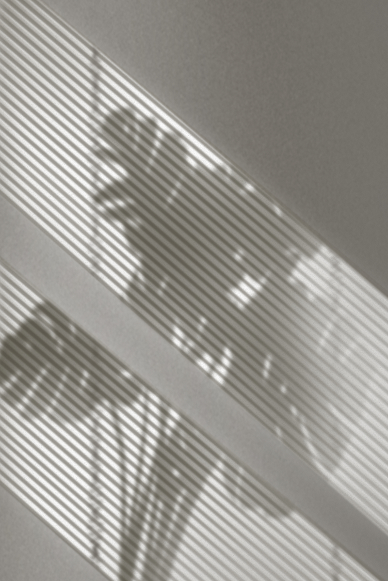 光影窗户植物影子背景