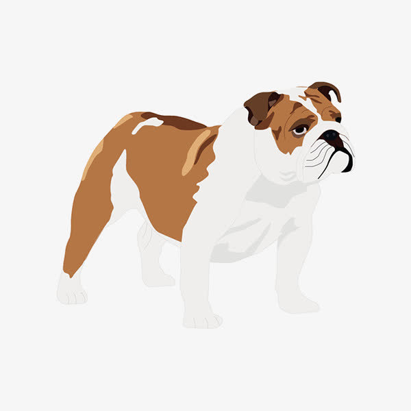 高清小狗PNG透明图片，精美装饰元素，动物设计素材下载