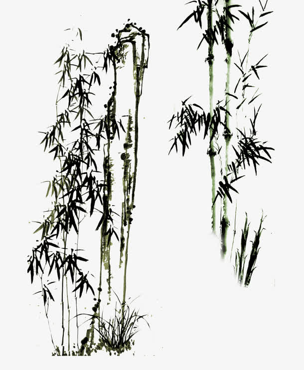 中国水墨风描画竹林