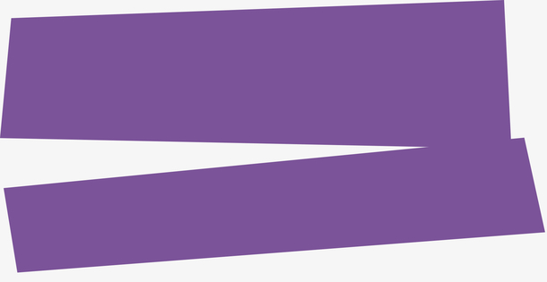 紫色的两条绶带