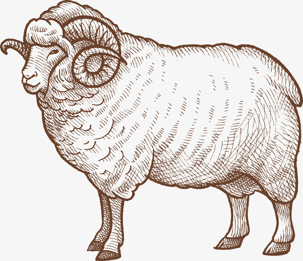 羊图标一只羊透明背景