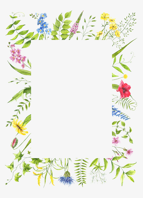 植物边框手绘植物花朵绿叶