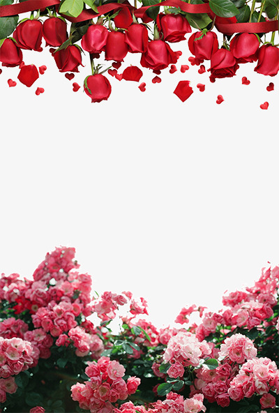 红色玫瑰花粉色花簇装饰背景