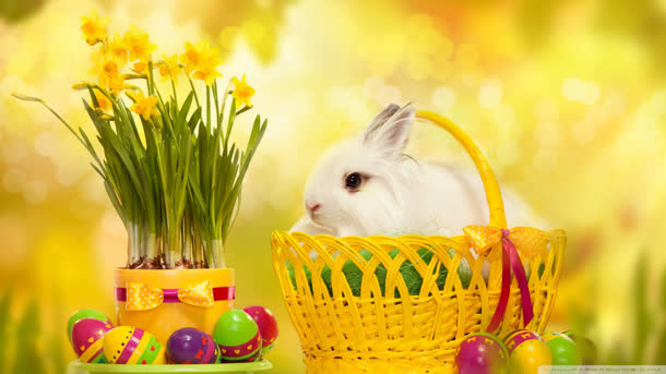 黄色小筐复活节兔子