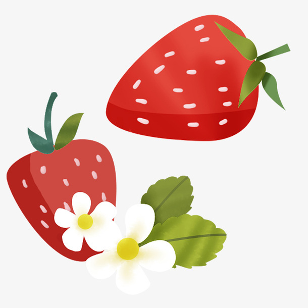 草莓 手绘 插画 素材