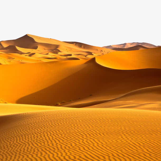 大沙漠