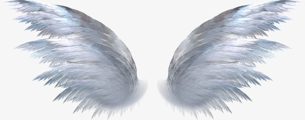 上帝天使羽翼PNG透明高清图，精美装饰元素，设计素材下载