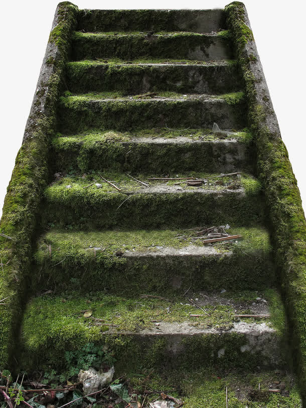 绿色青苔石阶