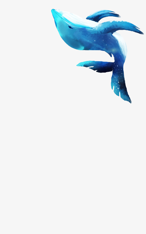 海豚图案元素